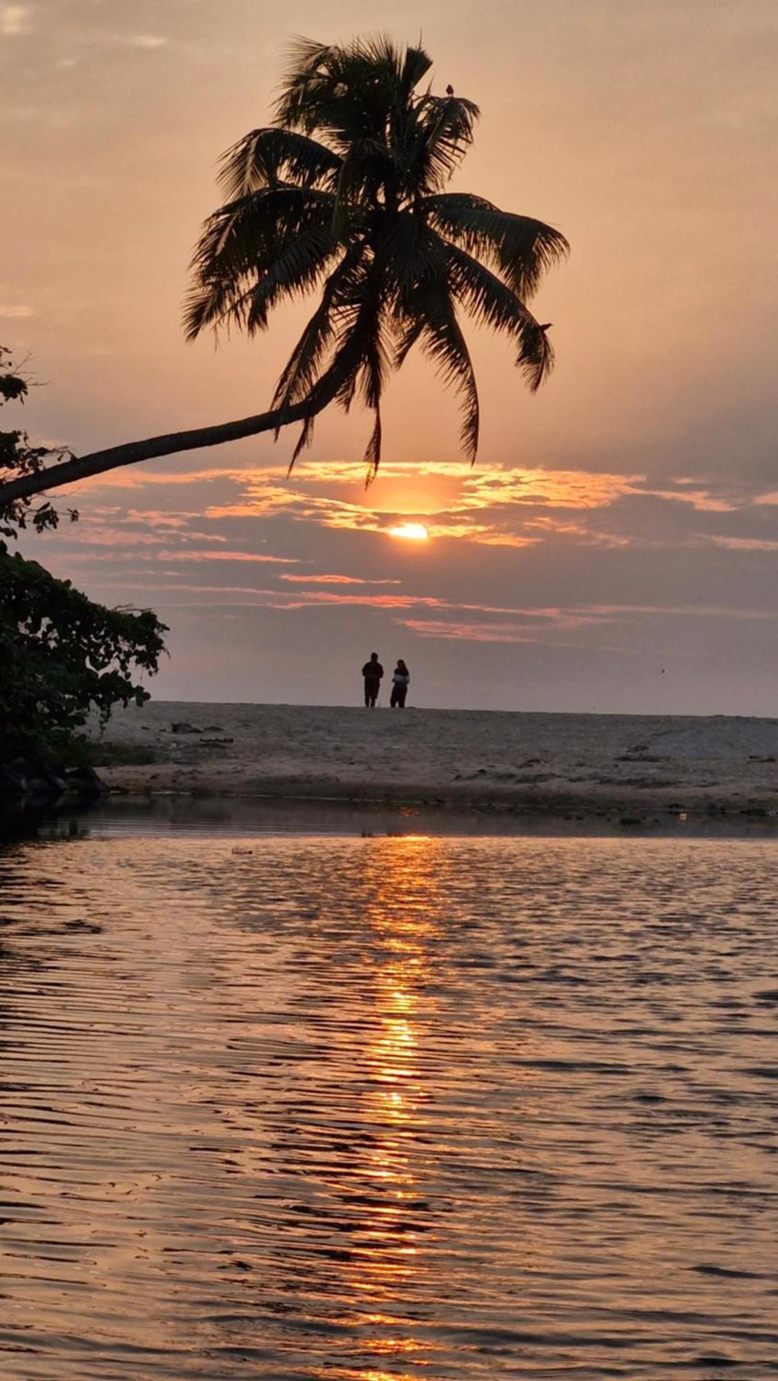 Gypsea Marari Alappuzha Exterior foto